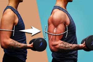 روش افزایش حجم عضلات؟ چه مکملی بخوریم؟